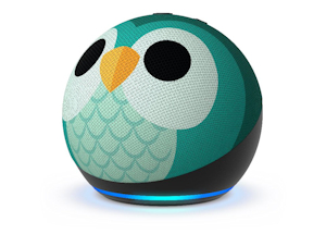 echo dot kids
